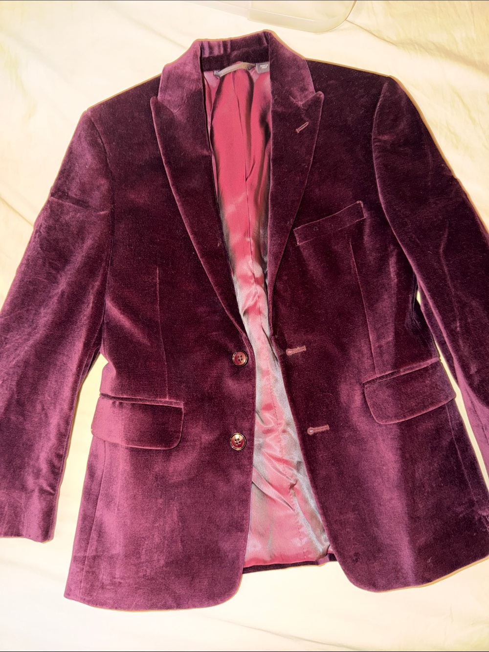 Michael Kors Plum Velvet Blazer Jacket